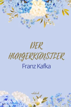 Franz Kafka Der Hungerkünstler обложка книги