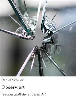 Daniel Schiller Observiert