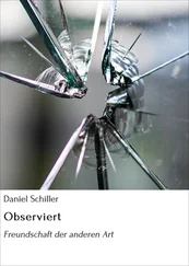 Daniel Schiller - Observiert