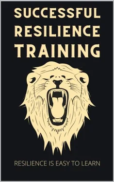 Thorsten Hawk Successful Resilience Training обложка книги