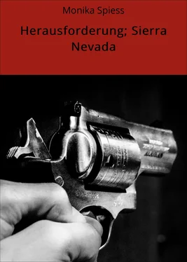 Monika Spiess Herausforderung; Sierra Nevada обложка книги