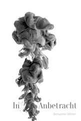 Benjamin Winter - In Anbetracht