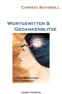 Christa Schyboll Wortgewitter & Gedankenblitze обложка книги