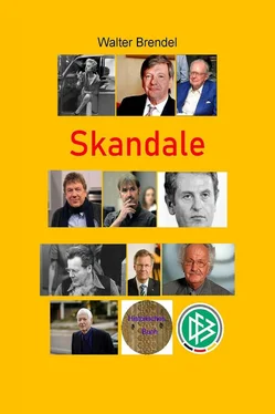 Walter Brendel Skandale обложка книги