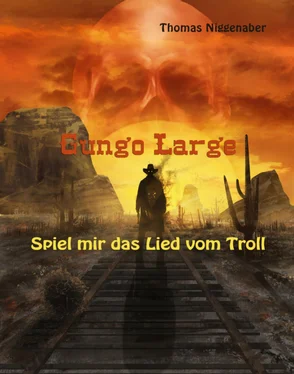 Thomas Niggenaber Gungo Large - Spiel mir das Lied vom Troll обложка книги