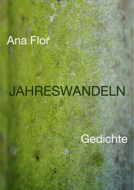 Ana Flor Jahreswandeln обложка книги