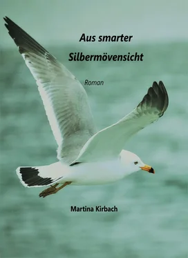 Martina Kirbach Aus smarter Silbermöwensicht обложка книги
