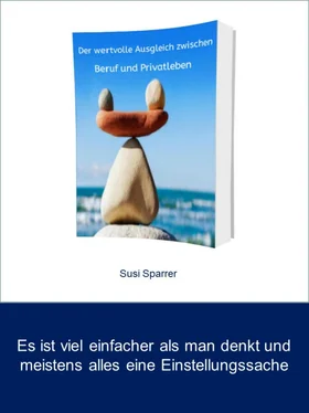 Susi Sparrer Der wertvolle Ausgleich zwischen Beruf und Privatleben обложка книги