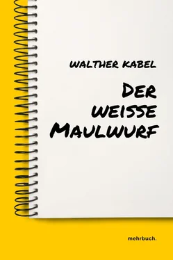 Walther Kabel Der weiße Maulwurf обложка книги