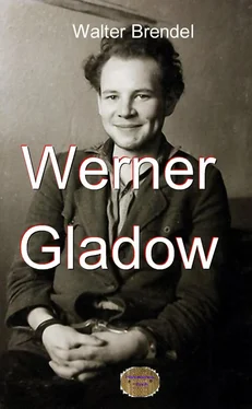 Walter Brendel Werner Gladow обложка книги