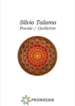 Silvio Talamo Poesie Gedichte обложка книги