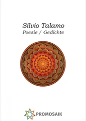 Silvio Talamo - Poesie Gedichte