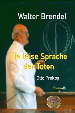 Walter Brendel Die leise Sprache der Toten обложка книги