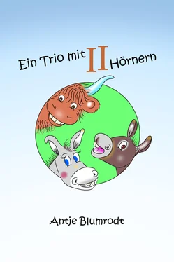 Antje Blumrodt Ein Trio mit zwei Hörnern обложка книги