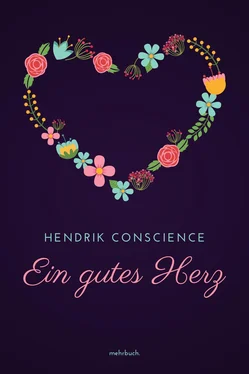 Hendrik Conscience Ein gutes Herz обложка книги