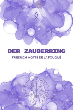 Friedrich Motte De La Fouqué Der Zauberring обложка книги
