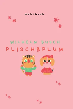 Wilhelm Busch Plisch und Plum обложка книги