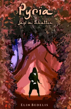 Elin Bedelis Pyria обложка книги