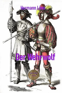 Hermann Löns Der Wehrwolf обложка книги