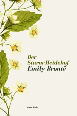 Emily Bronte Der Sturm-Heidehof обложка книги