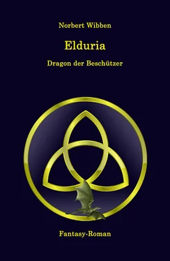 Norbert Wibben Elduria - Dragon der Beschützer обложка книги