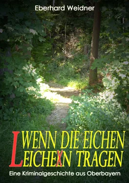 Eberhard Weidner WENN DIE EICHEN LEICHEN TRAGEN обложка книги
