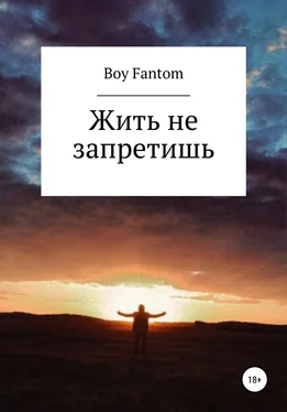 Boy Fantom Жить не запретишь обложка книги