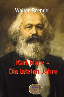 Walter Brendel Karl Marx – Die letzten Jahre обложка книги