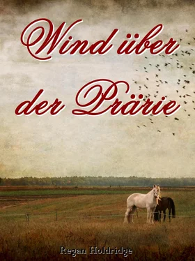 Regan Holdridge Wind über der Prärie обложка книги