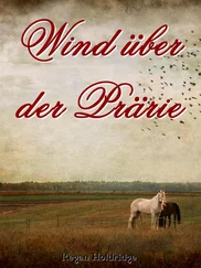 Regan Holdridge - Wind über der Prärie