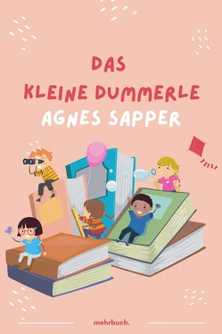 Agnes Sapper Das kleine Dummerle обложка книги