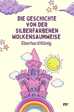 Eberhard König Die Geschichte von der silberfarbenen Wolkensaumweise обложка книги
