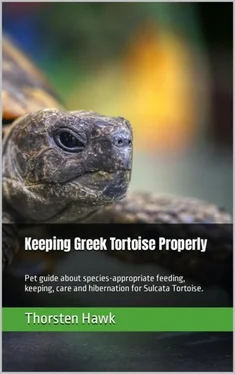 Thorsten Hawk Keeping Greek Tortoise Properly обложка книги
