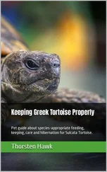 Thorsten Hawk - Keeping Greek Tortoise Properly