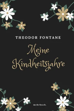 Theodor Fontane Meine Kinderjahre обложка книги
