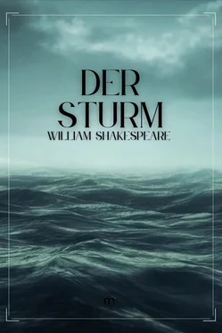 William Shakespeare Der Sturm обложка книги