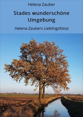 Helena Zauber Stades wunderschöne Umgebung обложка книги