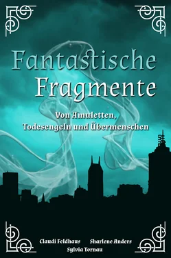 Claudi Feldhaus Fantastische Fragmente обложка книги