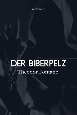 Theodor Fontane Der Biberpelz обложка книги