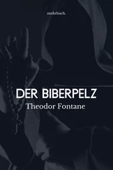 Theodor Fontane - Der Biberpelz