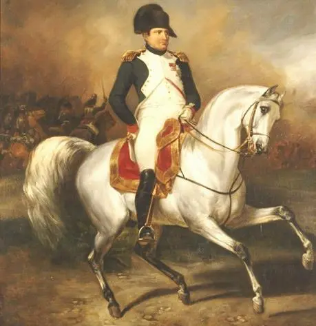 Napoleon Der breite Rhein der eben den Main in sich aufgenommen hat rollt - фото 18