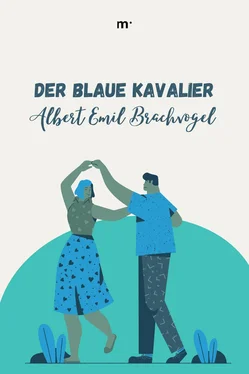 Albert Emil Brachvogel Der blaue Kavalier обложка книги