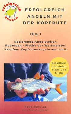 René Schulze Erfolgreich angeln mit der Kopfrute обложка книги