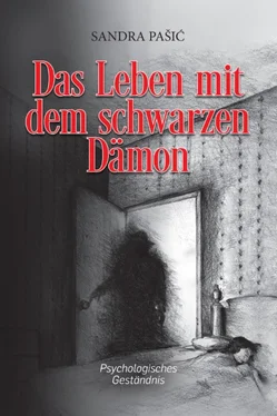 Sandra Pasic Das Leben mit dem schwarzen Dämon обложка книги