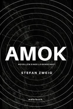 Stefan Zweig Amok. Novellen einer Leidenschaft обложка книги
