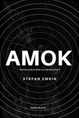 Stefan Zweig - Amok. Novellen einer Leidenschaft