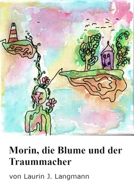 Laurin J. Langmann Morin, die Blume und der Traummacher обложка книги