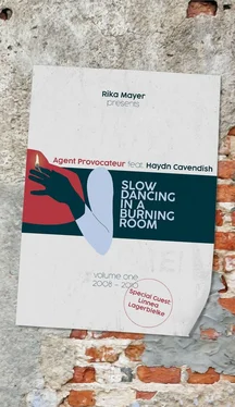 Rika Mayer Slow Dancing In A Burning Room обложка книги