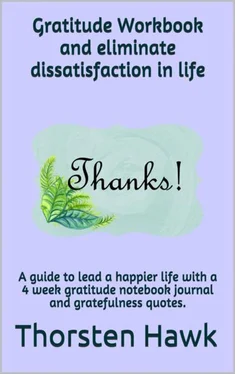Thorsten Hawk Gratitude Workbook and eliminate dissatisfaction in life обложка книги