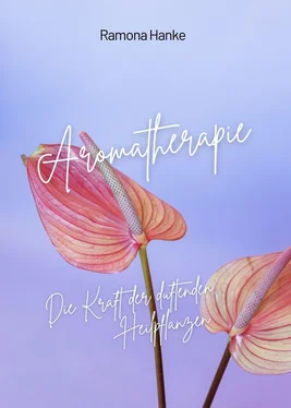 Ramona Hanke Aromatherapie - Die Kraft der Duftenden Heilpflanzen обложка книги